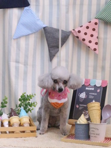 20250507サージュちゃん